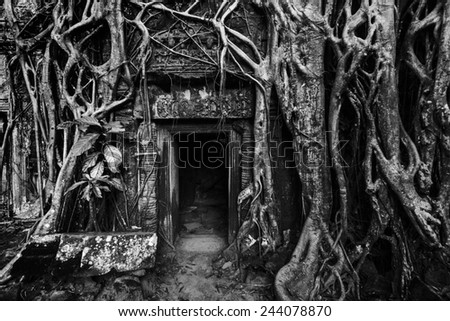 Travel Cambodia concept background - ancient stone door and tree roots, Ta Prohm temple ruins, Angkor, Cambodia. Black and white version