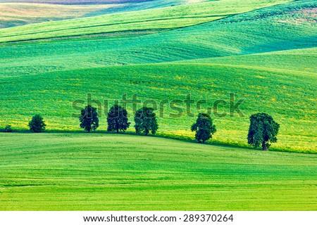 Moravian rolling landscape with trees. South Moravia, Czech Republic