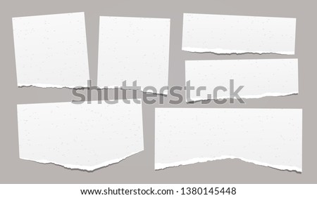 Set of torn note, notebook grainy paper strips stuck on grey background. Vector illustration