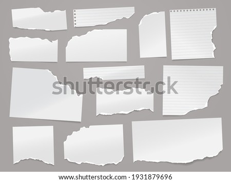 Set of torn white lined note, notebook paper pieces stuck on light grey background. Vector illustration