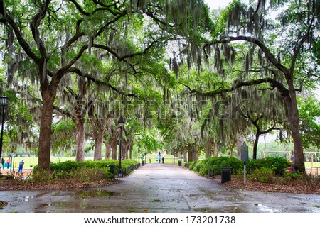Couples and families enjoy time in the parks of Savannah Georgia between rain showers.