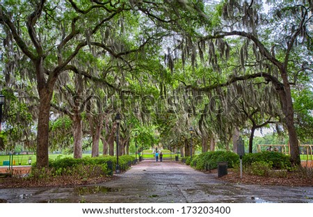 Couples and families enjoy time in the parks of Savannah Georgia between rain showers.