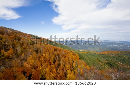 Montseny Natural Park in the fall with all  colours of trees in Catalonia (Spain).