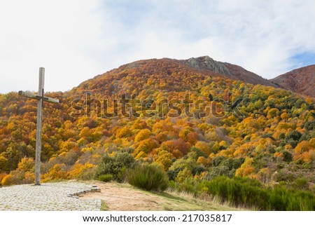 Montseny Natural Park in the fall with all colours of trees in Catalonia (Spain).