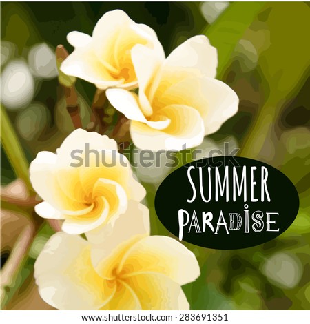 Vector illustration of a tropical flowers magnolias. Asian yellow flowers. Summer paradise.