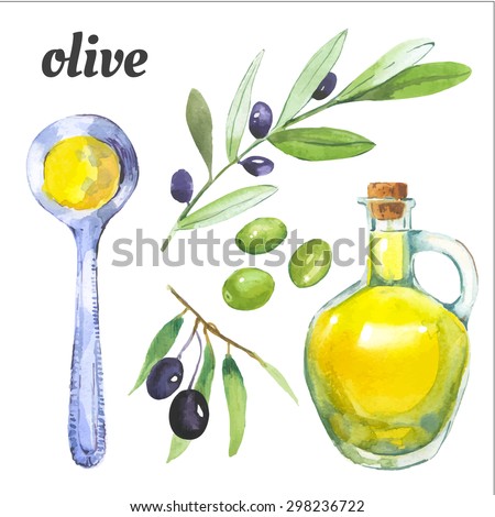 Olives and a bottle of olive oil. Mediterranean products. Vector watercolor food. Illustration in painting technique. 