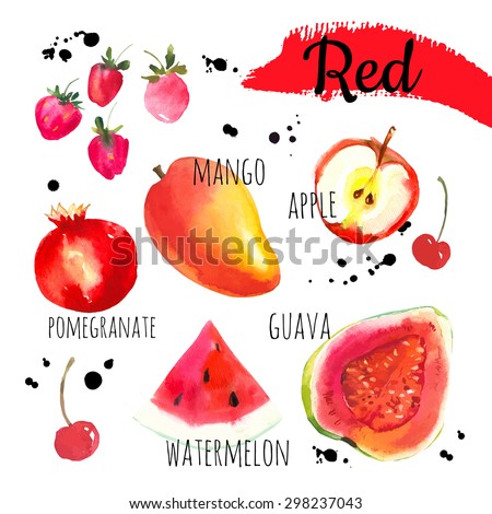 Vector illustration with watercolor food.  Set of different fruits and berries: guava, apple, watermelon, mango, cherries, strawberries, pomegranate. Simple painting sketch in vector format. Red set.