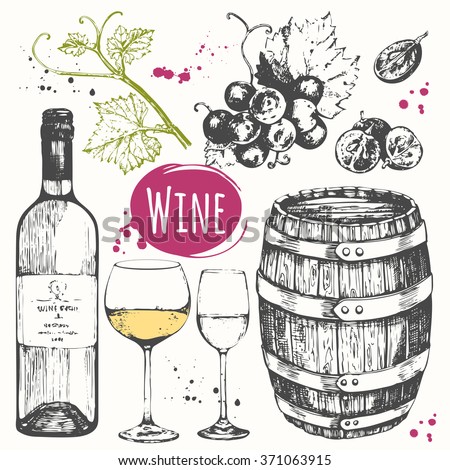 Wine set. Winemaking products in sketch style. Vector illustration with barrel, glass, grape twig. Classical alcoholic drink.