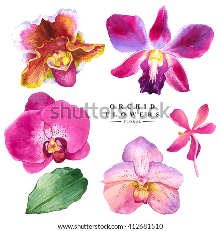 Botanical illustration with realistic tropical flowers and leaves. Watercolor collection of orchid. Handmade painting on a white background. Spa style. Violet flowers.
