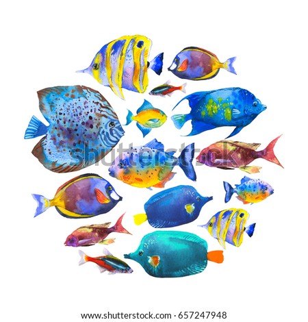 Round composition with tropical fish. Watercolor illustration with hand drawn aquarium exotic fish on white background.