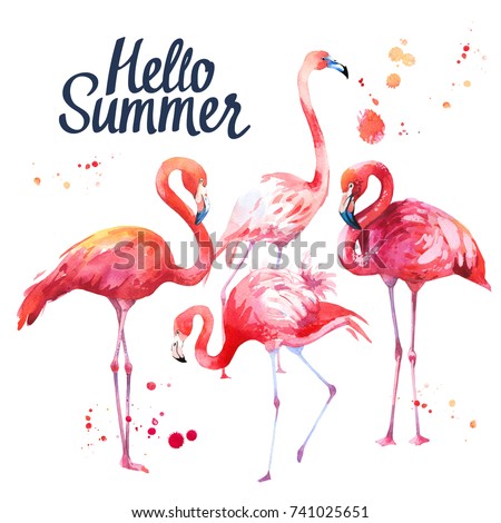 Flamingo. Watercolor illustration with pink tropical bird on white background. Paradise. design for t-shirt. 