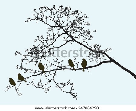 Image, Stock Photo Tree silhouette branches at foreground with beautiful early morning clouds at sky