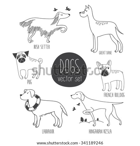 Vector set with cute cartoon dos of different breeds: Irish Setter, Great Dane, Pug, Labrador, Hungarian Vizsla, French Bulldog.