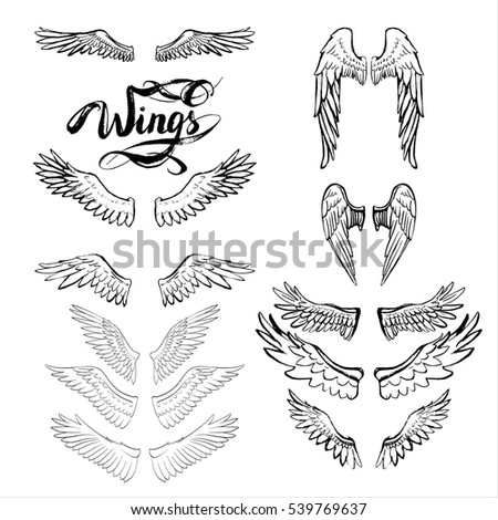 Angel Wings Vector, Lettering, Drawing - 539769637 : Shutterstock