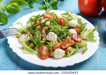 Greece salad with mozzarella, rukola and tomatoes