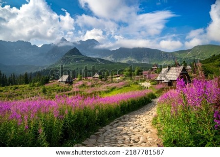 Beautiful summer day in the mountains - Hala Gasienicowa in Poland - Tatras Stok fotoğraf © 