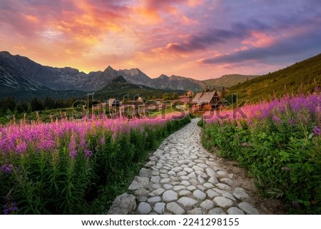 Beautiful summer sunrise in the mountains - Hala Gasienicowa in Poland - Tatras Stok fotoğraf © 