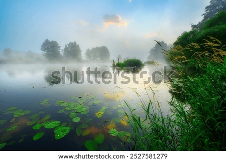 Similar – Foto Bild Baum am See im Gegenlicht