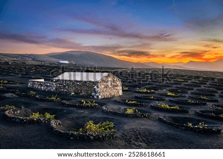 Similar – Image, Stock Photo Vineyard on a cloudy day