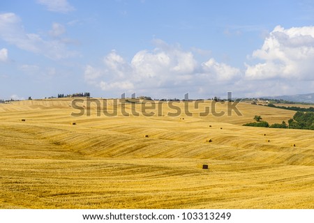 Typical landscape in Val d'Orcia (Siena, Tuscany, Italy) at summer. Old farm