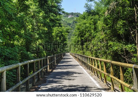 Cycle lane of the Adige valley near Bolzano (Trentino Alto Adige, Italy) at summer