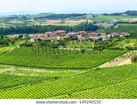Country landscape with vineyards from Rosignano Monferrato (Asti, Piedmont, Italy) at summer