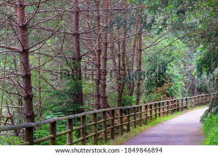 Similar – Image, Stock Photo Cycleway of Pusteria valley at summer