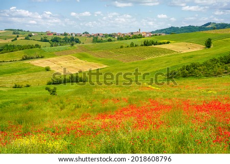 Similar – Image, Stock Photo Landscape on the Tortona hills at springtime.