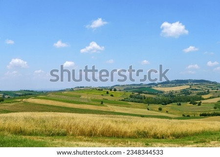 Similar – Image, Stock Photo Landscape on the Tortona hills at springtime.