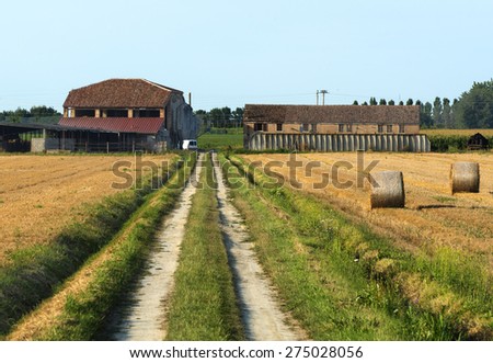 Country landscape near Ferrara (Emilia-Romagna, Italy) at summer. Farm