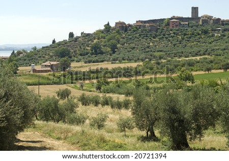 Trasimeno Lake (Perugia, Umbria, Italy), ancient town and olive trees