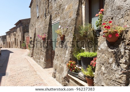 Sovana (Grosseto, Tuscany, Italy), typical houses and potted flowers in the medieval village