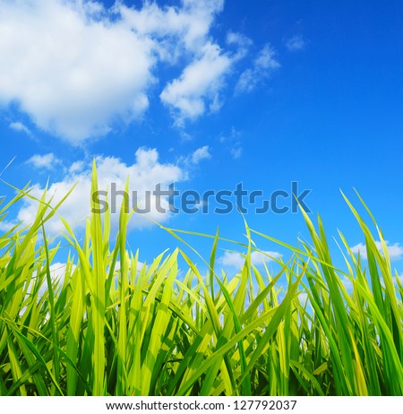 green grass,development environmental protection concept