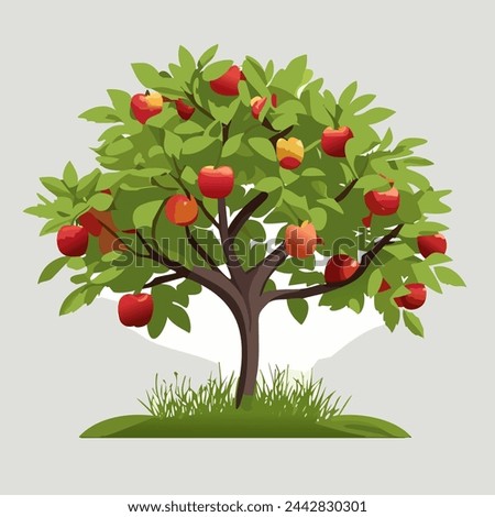 Apple tree with fruit, summer time. Illustration vector, 10 eps