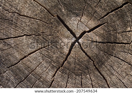 Tree rings with crack