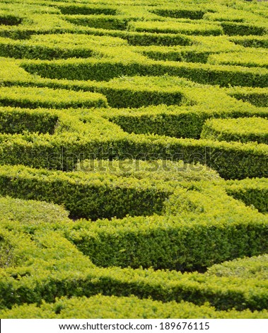 Garden Maze Detail