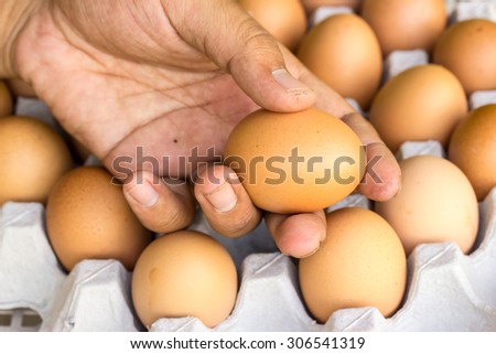 Eggs preserved in man hand and panel wholesale market