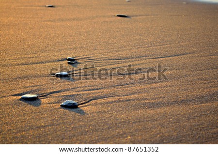 Pebbles lying on the beach