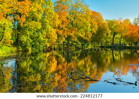 Landscape of autumn park. Pond in park