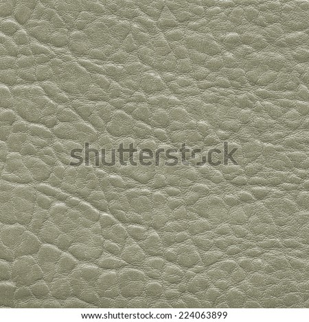pale green artificial leather texture. Useful as background in design-works