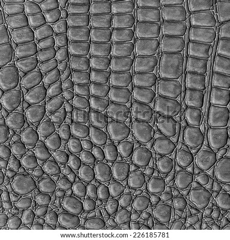 black reptile skin texture closeup, fragment of natural pattern