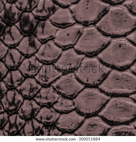 brown snake skin squama texture as background