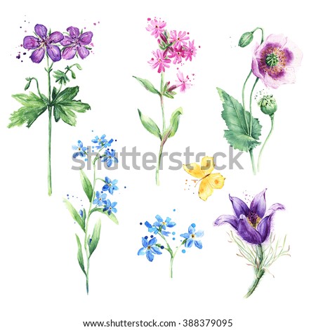 Shutterstock Puzzlepix