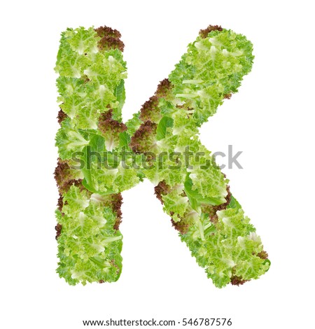 Letter K alphabet with hydroponics leaf  ABC concept type as logo isolated on white background  Stock fotó © 