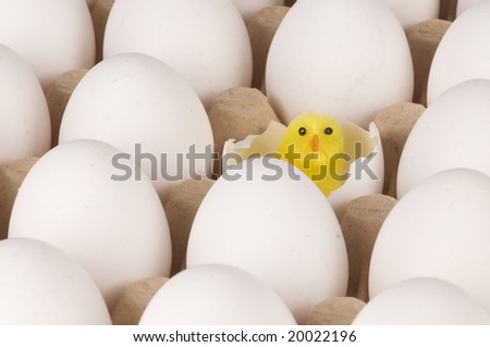 a cardboard tray filled with white eggs and an easter chicken