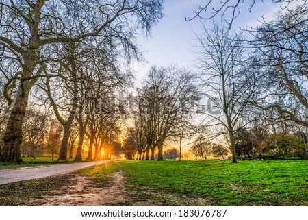 high definition range picture of sunset in the park with cross way grass trees and sun