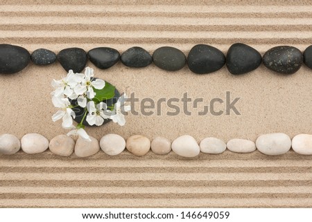 Flowers on the sand between the stones, can be used as background