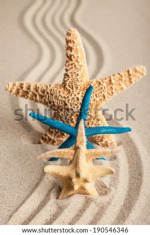 Four starfish in the sand on a background of wavy lines