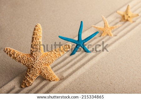 Four starfish in the sand on a background of direct lines