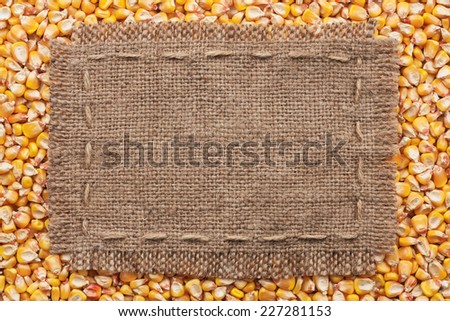 Frame of burlap  lying on a corn  background, with place for your text